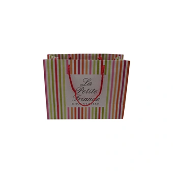 Eco-Friendly Wholesale Customized Logo Shopping Paper Bags with Handles